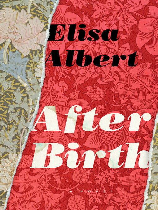 Title details for After Birth by Elisa Albert - Wait list